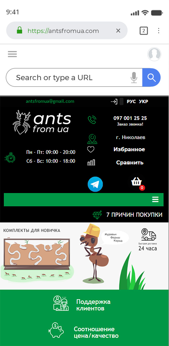 Интернет магазин по продаже муравьев