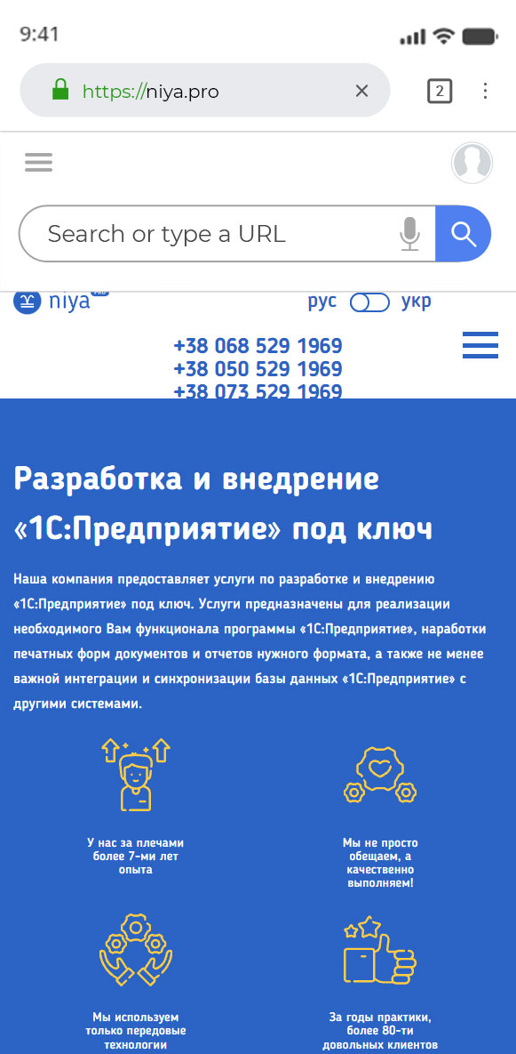 Разработка сайта для компании по внедрению 1с предприятия niya